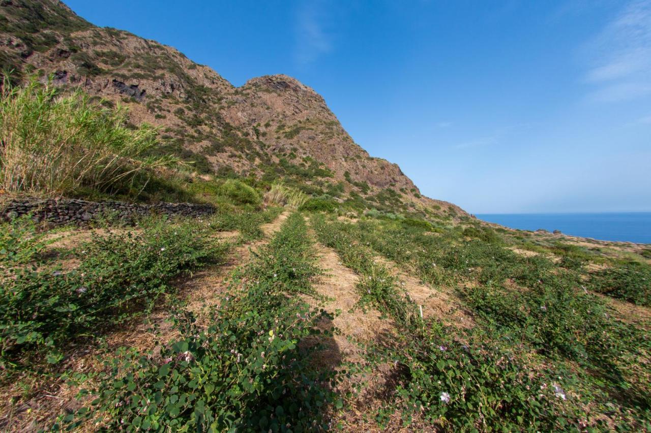 Agriturismo Al Cappero Malfa  Bagian luar foto